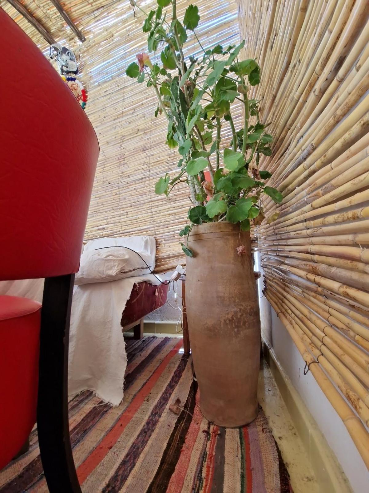 טנג'יר Hostel Banana מראה חיצוני תמונה