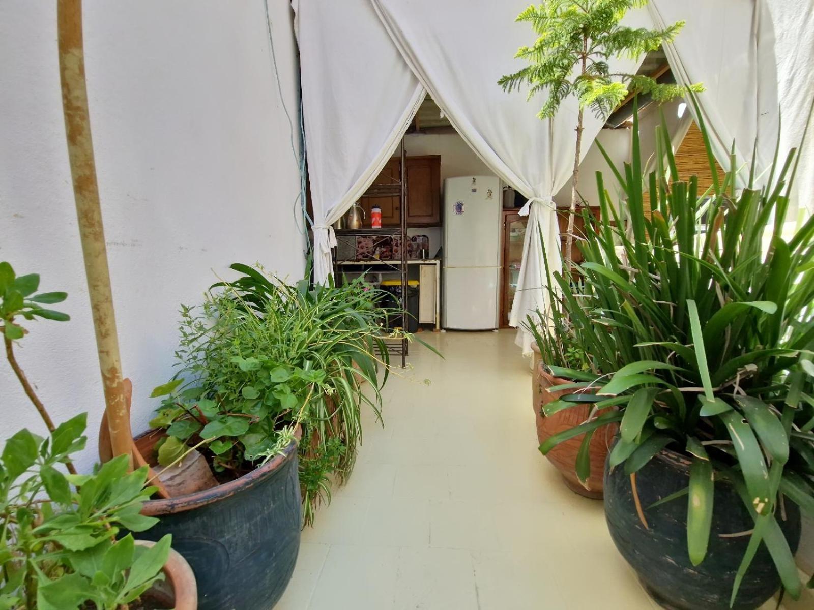 טנג'יר Hostel Banana מראה חיצוני תמונה